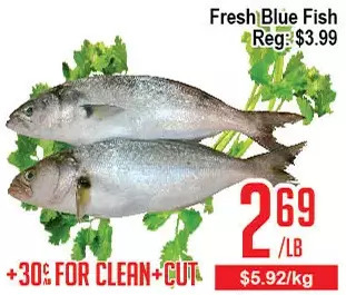 Skyland Foodmart Fresh blue fish offer