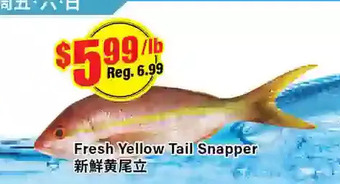 Btrust Supermarket Fresh yellow tail snapper offer
