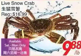 Foody World Live snow crab offer