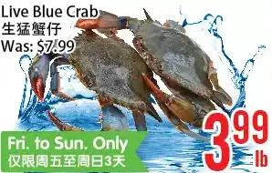 Bestco Food Mart Live blue crab offer