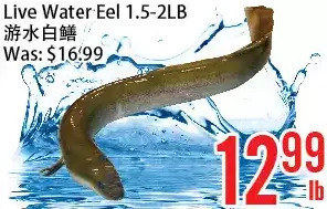 Bestco Food Mart Live water eel offer