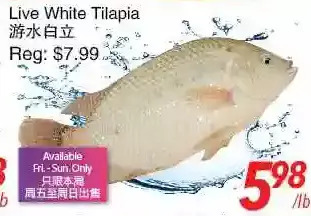 Foody World Live white tilapia offer