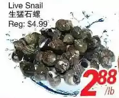 Foody World Live snail offer