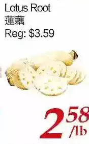 Tone Tai Supermarket Lotus root offer
