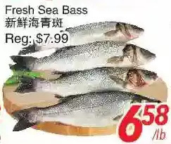 Foody World Fresh sea bass offer