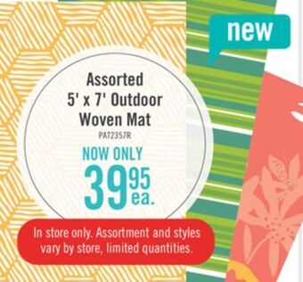 The Brick Assorted 5' x 7' outdoor woven mat offer