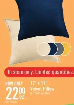 The Brick 17 x 17 velvet pillow offer