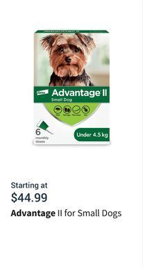 Petvalu Ii for small dogs offer