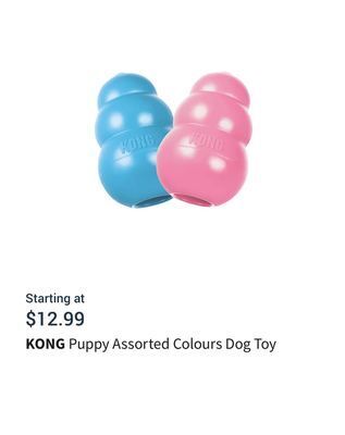Petvalu Puppy assorted colours dog toy offer