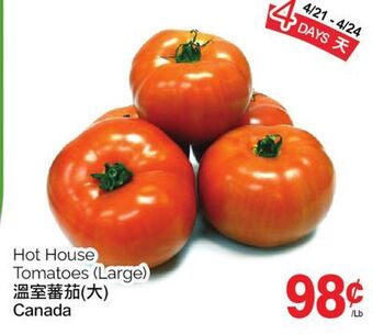 T&T Supermarket Hot house tomatoes (large) offer