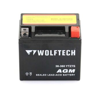 Royal Distributing Wolftech agm maintenance free battery offer