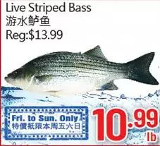 Hong Tai Supermarket Live striped bass offer