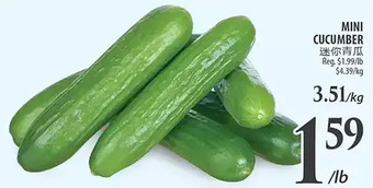 Al Premium Food Mart Mini cucumber offer