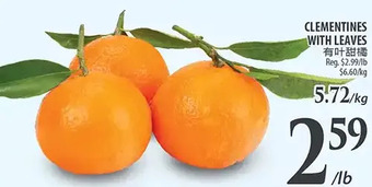 Al Premium Food Mart Clementines with leaves offer
