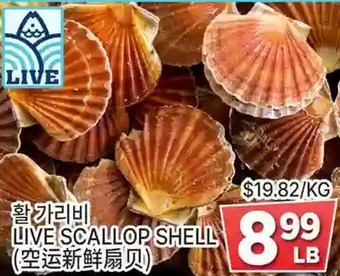 H-Mart Live scallop shell offer