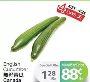 T&T Supermarket English cucumber offer