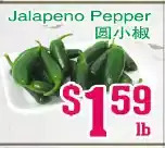 Jalapeno pepper