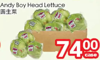 Superking Supermarket Andy boy head lettuce offer