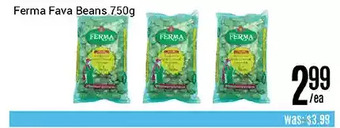 Nations Fresh Foods Ferma fava beans offer