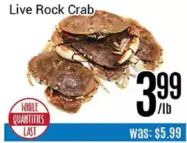 Nations Fresh Foods Live rock crab offer