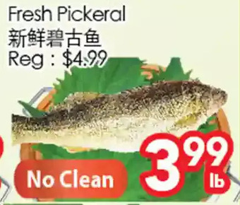 Superking Supermarket Fresh pickeral offer