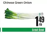 Nations Fresh Foods Chinese green onion offer