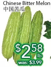 Ample Food Market Chinese bitter melon offer