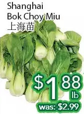 Ample Food Market Shanghai bok choy miu offer