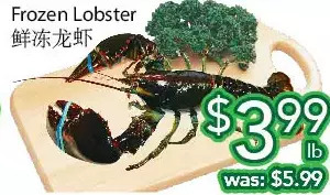 Ample Food Market Frozen lobster offer