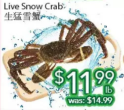 Ample Food Market Live snow crab offer