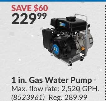 Princess Auto 1 in. gas water pump offer