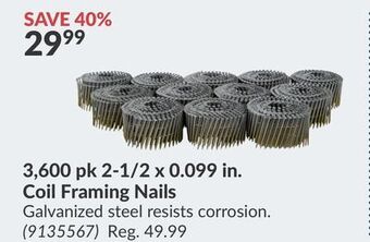 Princess Auto 3,600 pk 2-1/2 x 0.099 in. coil framing nails offer