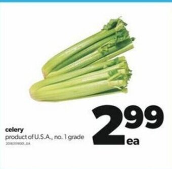 Real Canadian Superstore Celery offer
