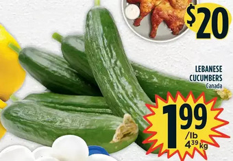 Marché Adonis Lebanese cucumbers offer