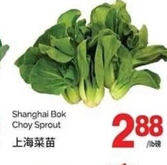 T&T Supermarket Shanghai Bok Choy Sprout offer