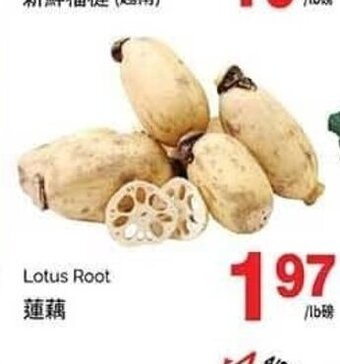 T&T Supermarket Lotus Root offer