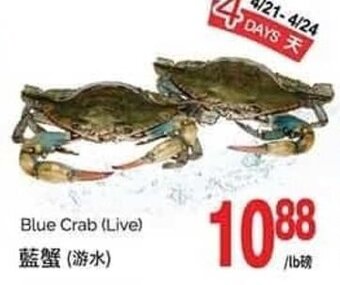 T&T Supermarket Blue Crab (Live) offer