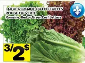 Supermarché PA Laitue romaine ou en feuilles rouge ou verte offer