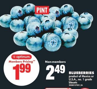 No Frills Blueberries offer