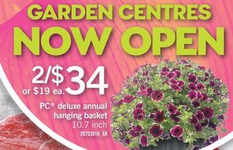 Fortinos Pc® deluxe annual hanging basket offer