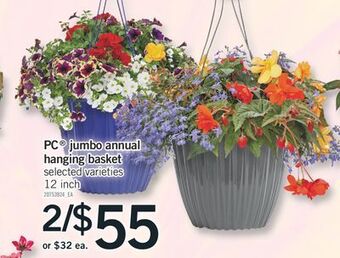 Fortinos Pc® jumbo annual hanging basket, 12 inch offer