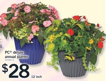 Fortinos Pc® deluxe annual planter offer