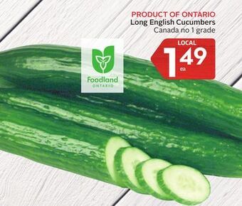 Foodland Long english cucumbers canada no 1 grade offer