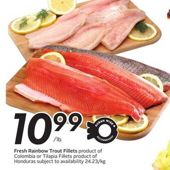 Sobeys Fresh rainbow trout fillets offer