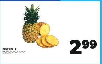 Real Canadian Superstore Pineapple offer