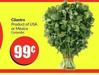 FreshCo Cilantro offer
