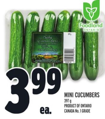 Metro Mini cucumbers offer