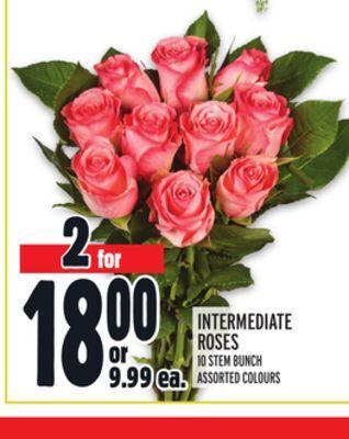 Metro Intermediate roses offer