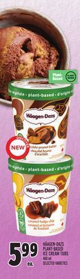 Metro Häagen-dazs plant-based ice cream tubs offer