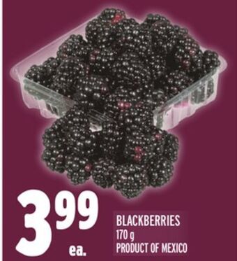 Metro Blackberries offer